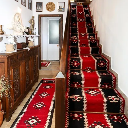 E Skulptorit-authentic In Gorica,berat Unesco Area 招待所 培拉特
